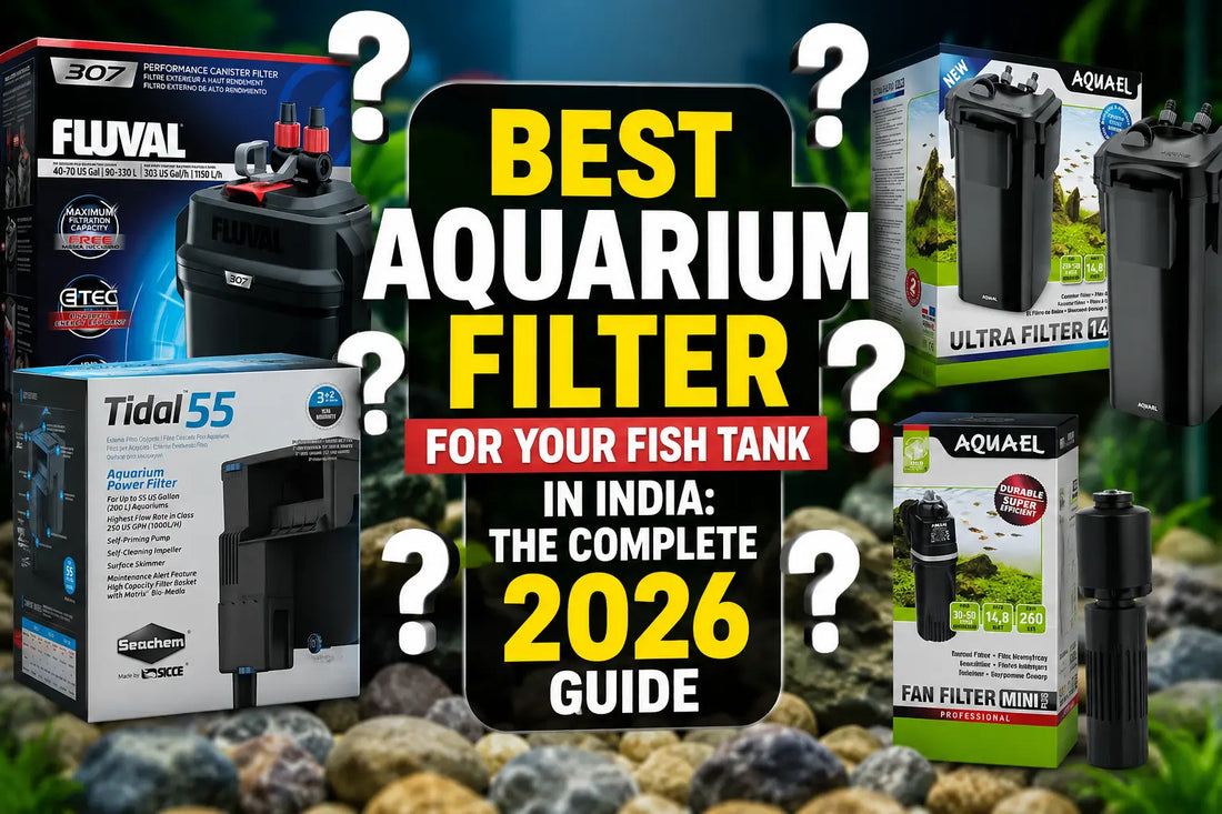 Best Aquarium Filter for Your Fish Tank in India: The Complete 2026 Guide