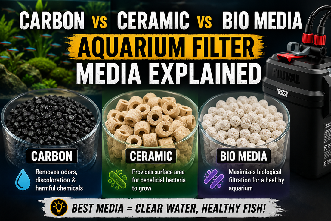 Aquarium Filter Media Guide: Mechanical, Biological & Chemical Media Explained