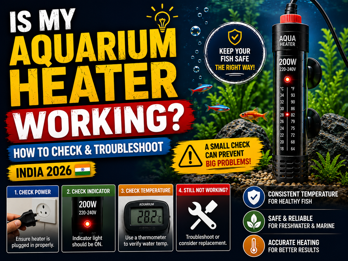 Is My Aquarium Heater Working? How to Check & Troubleshoot (India 2026)