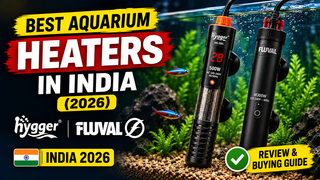 Best Aquarium Heaters in India: Hygger & Fluval (2026)