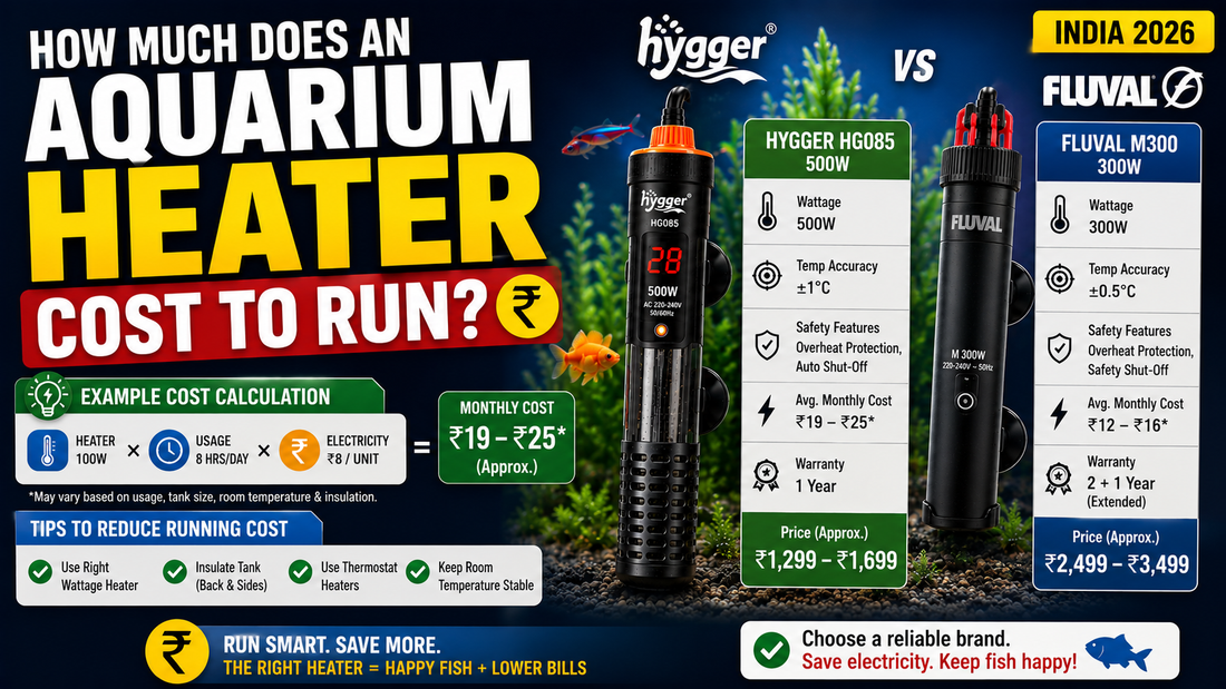 How Much Does an Aquarium Heater Cost to Run? + Brand Comparison (India 2026)