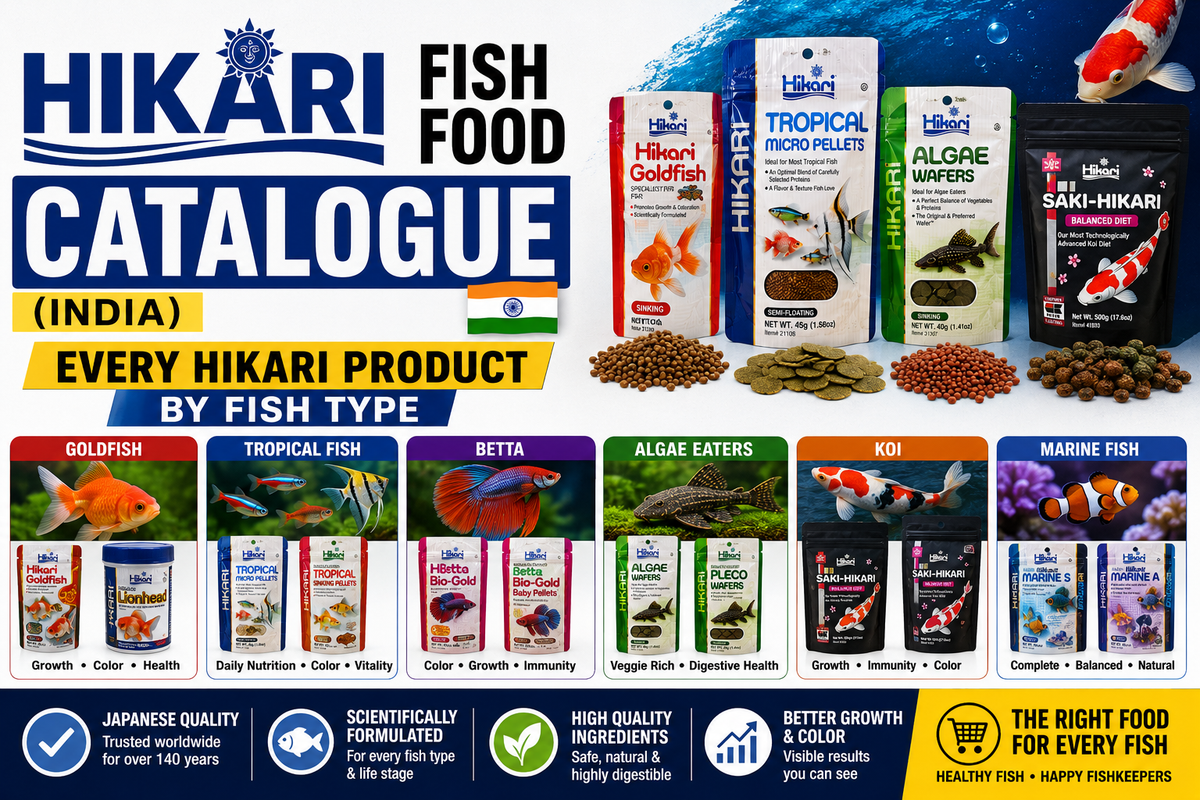 Hikari Fish Food Catalogue (India) | Every Hikari Product by Fish Type