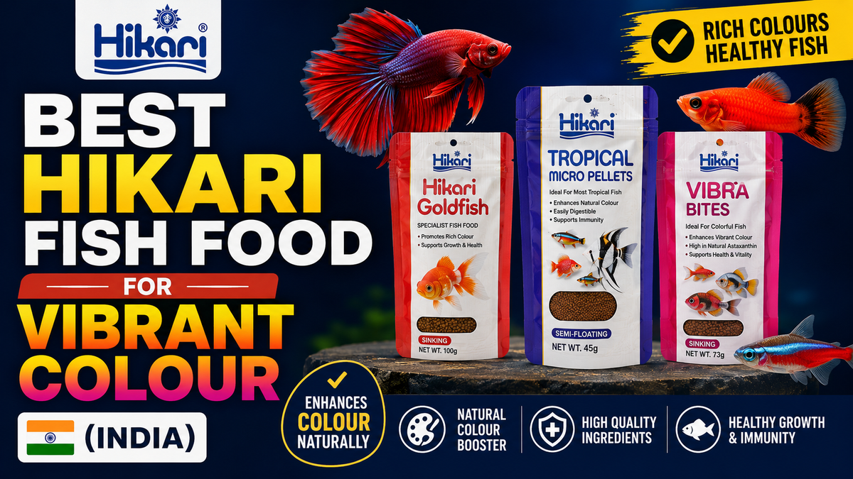 Best Hikari Fish Food for Vibrant Colour (India)