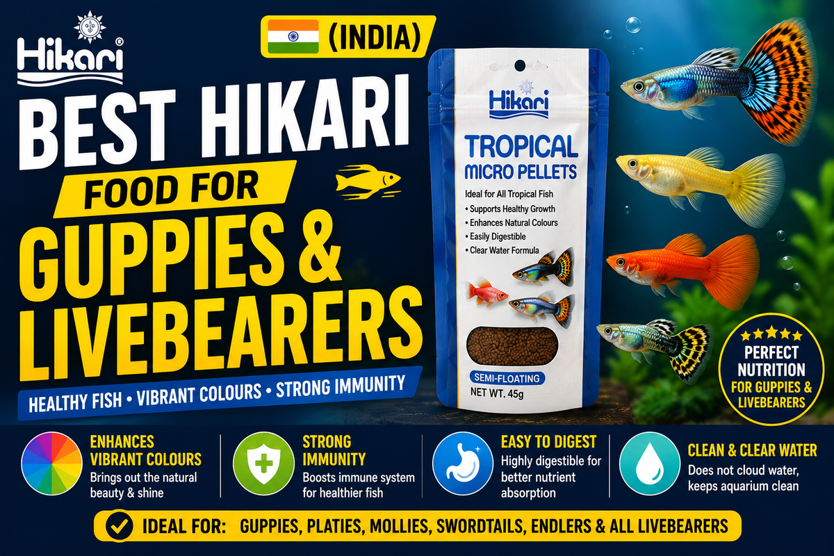 Best Hikari Food for Guppies & Livebearers (India)