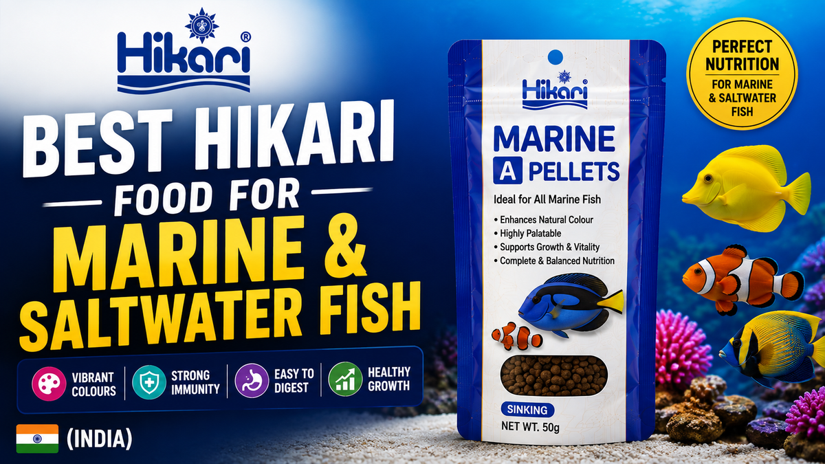 Best Hikari Food for Marine & Saltwater Fish (India)