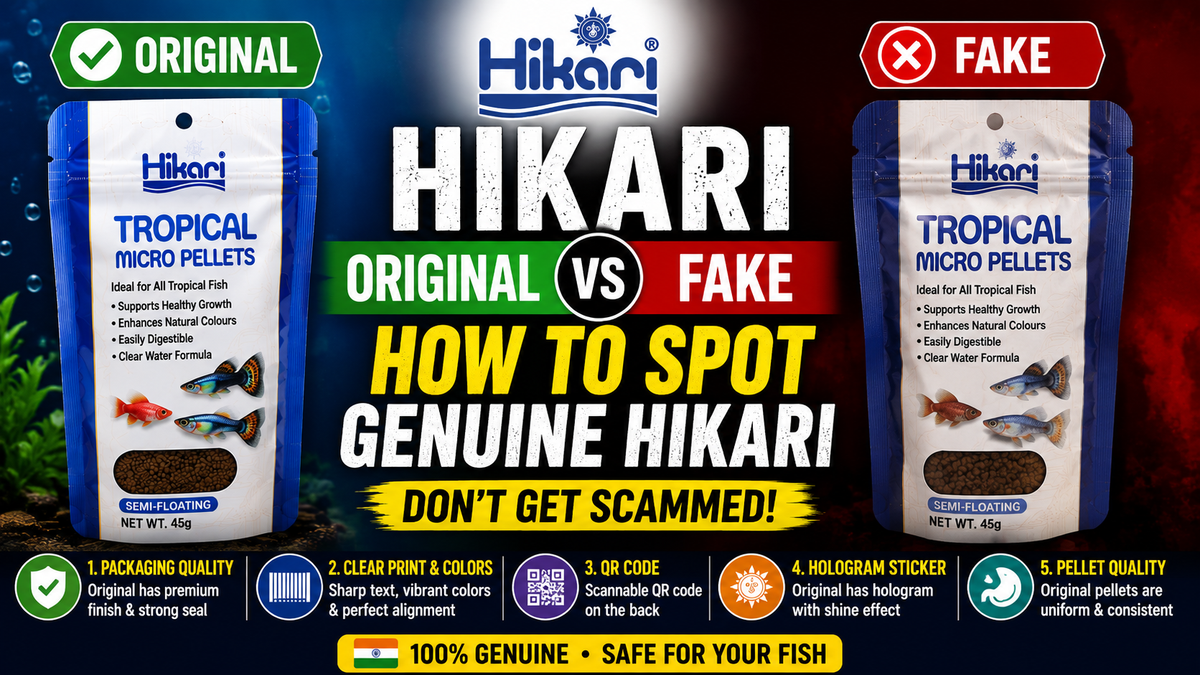 Hikari Original vs Fake: How to Spot Genuine Hikari (India)