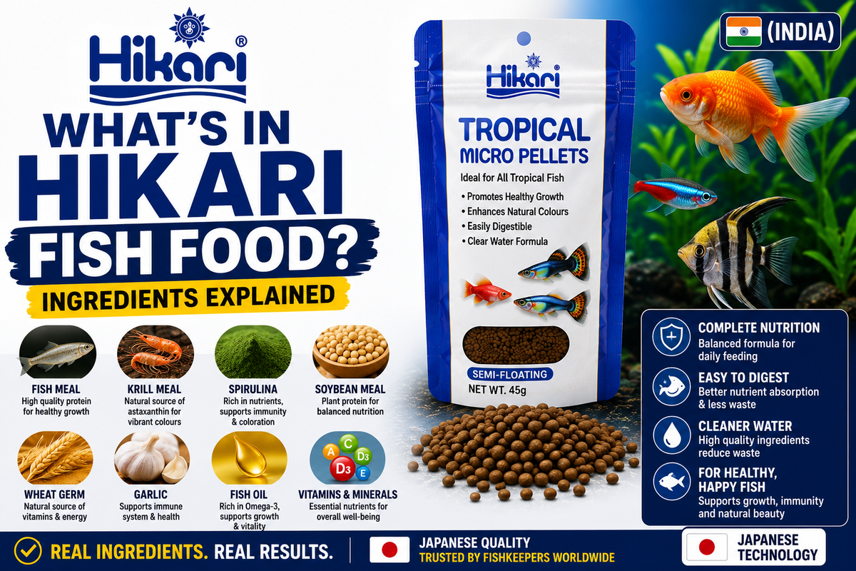 What's in Hikari Fish Food? Ingredients Explained (India)