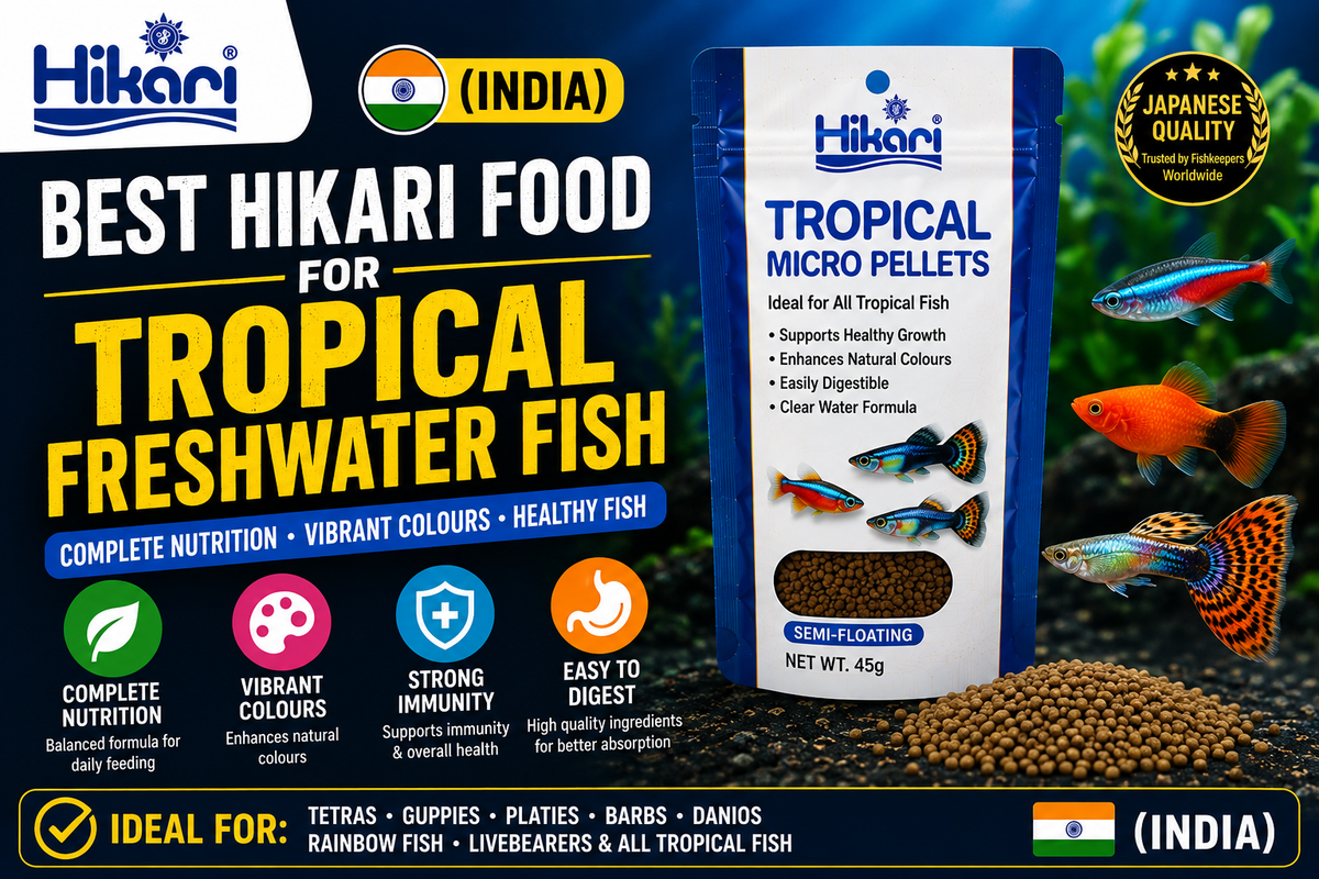 Best Hikari Food for Tropical Freshwater Fish (India)