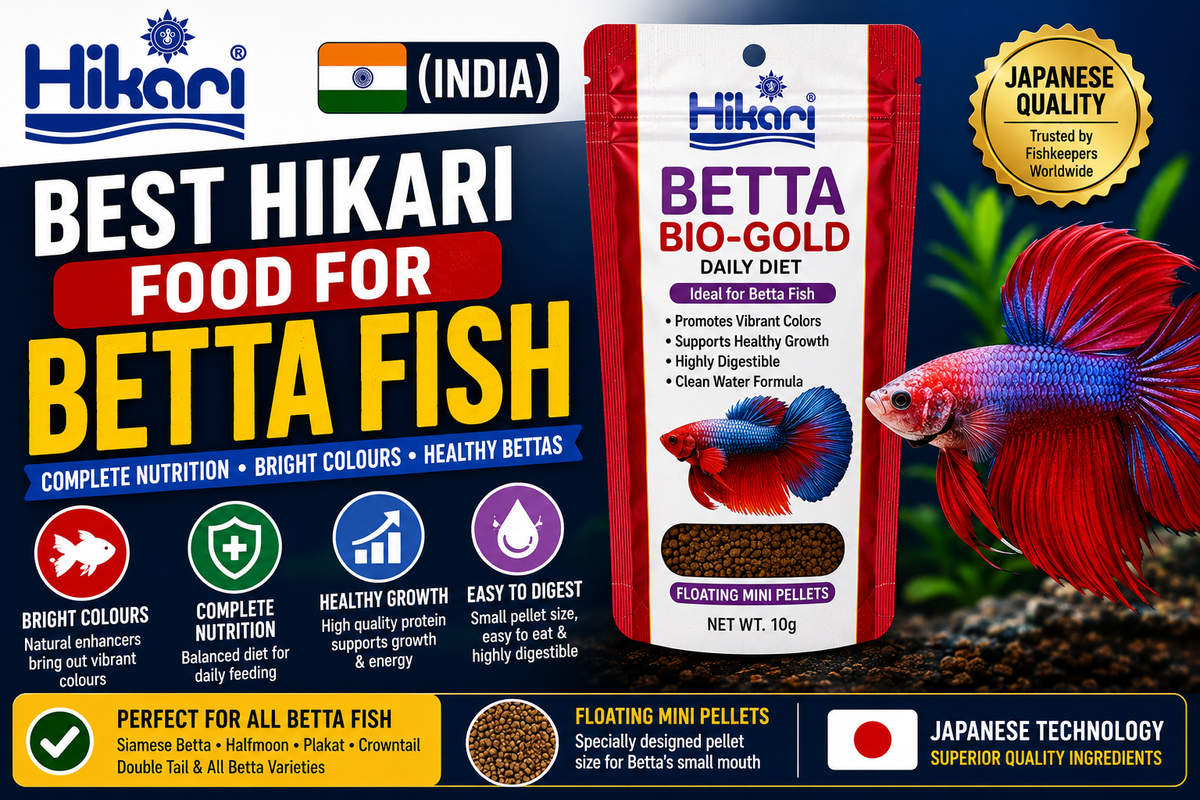 Best Hikari Food for Betta Fish (India)