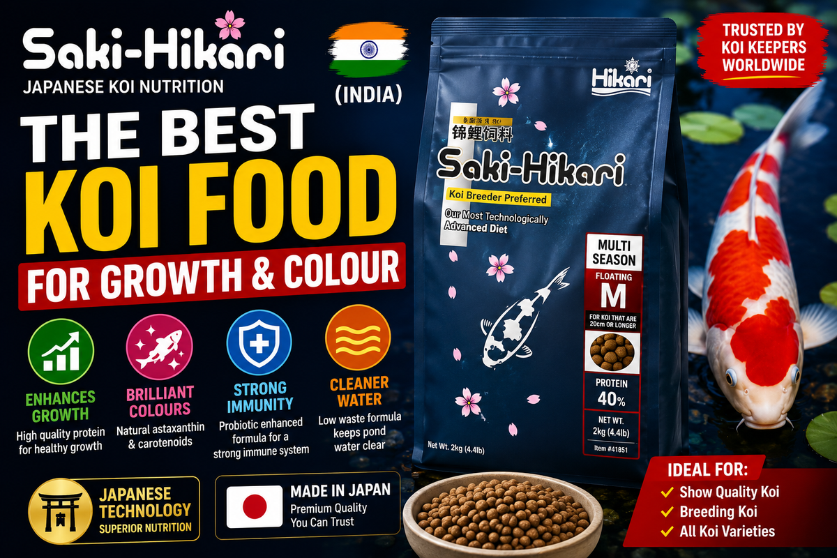 Saki-Hikari: The Best Koi Food for Growth & Colour (India)