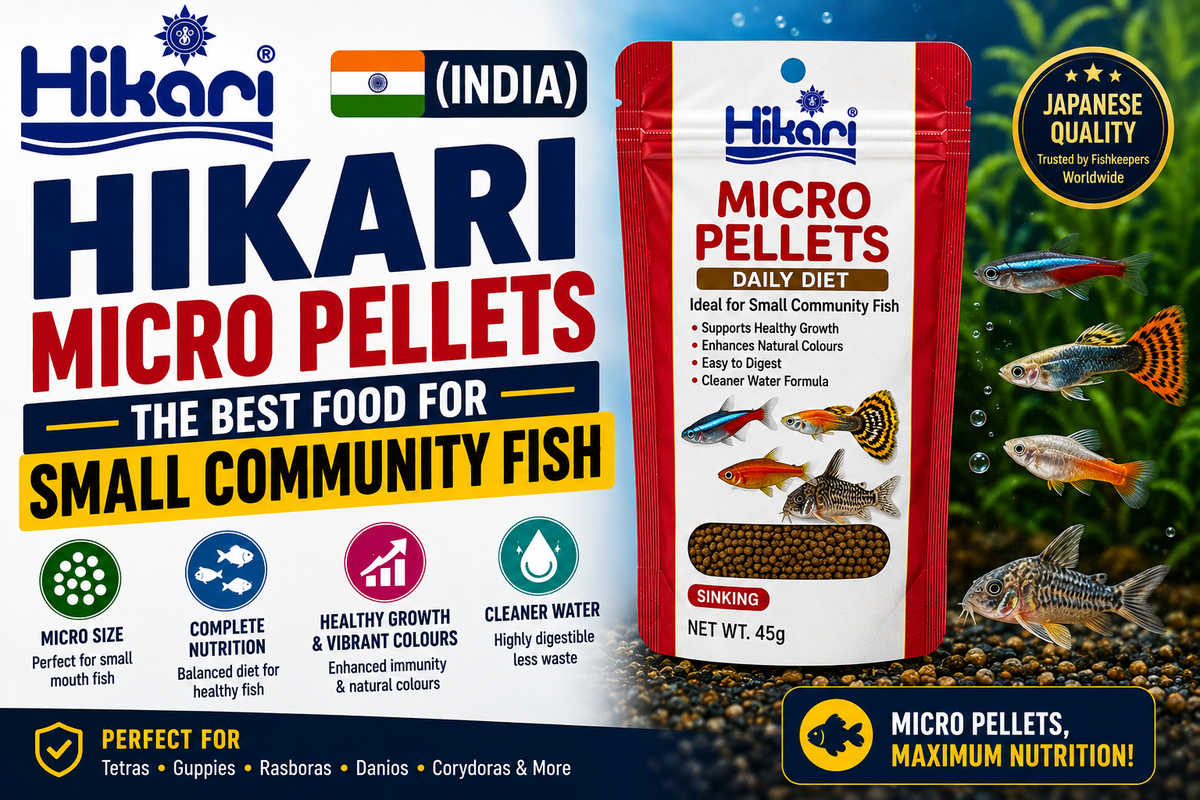 Hikari Micro Pellets: The Best Food for Small Community Fish (India)