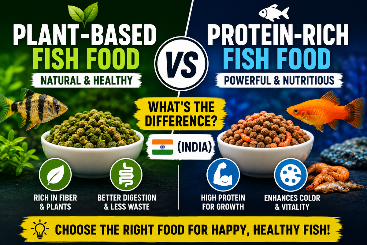 Plant-Based vs Protein-Rich Fish Food: What's the Difference? (India)