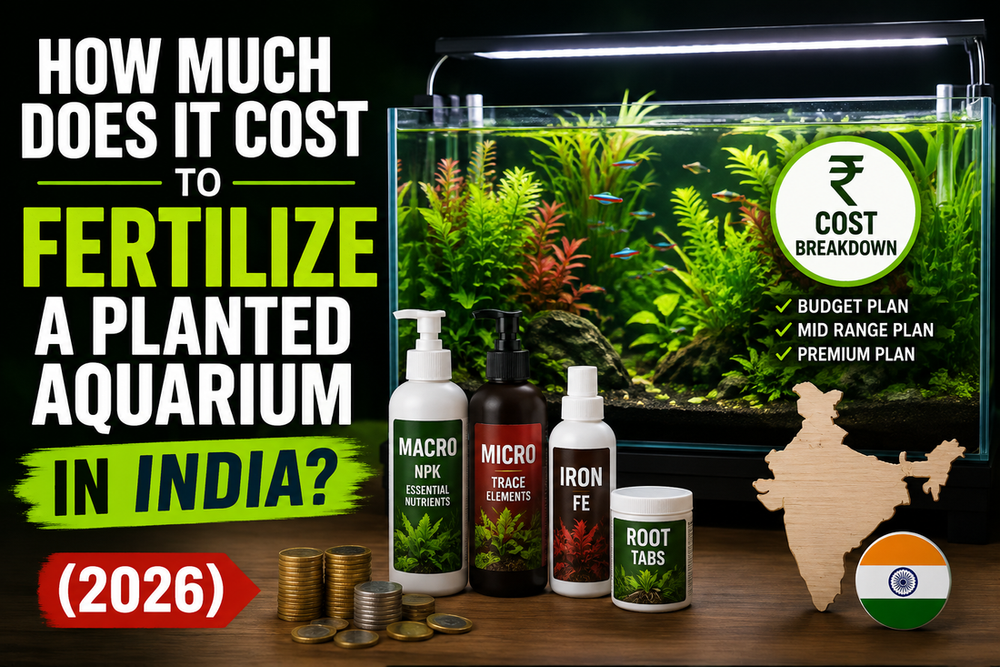 How Much Does It Cost to Fertilize a Planted Aquarium in India? (2026)