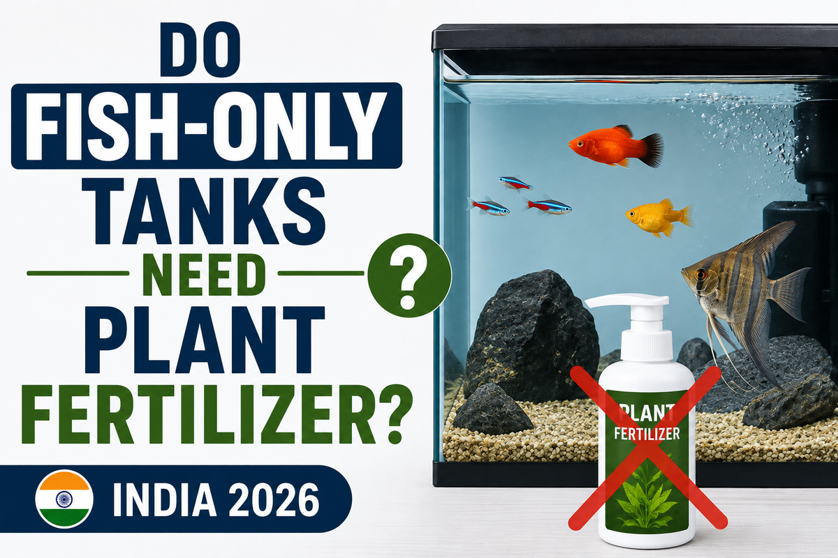 Do Fish-Only Tanks Need Plant Fertilizer? (India 2026)