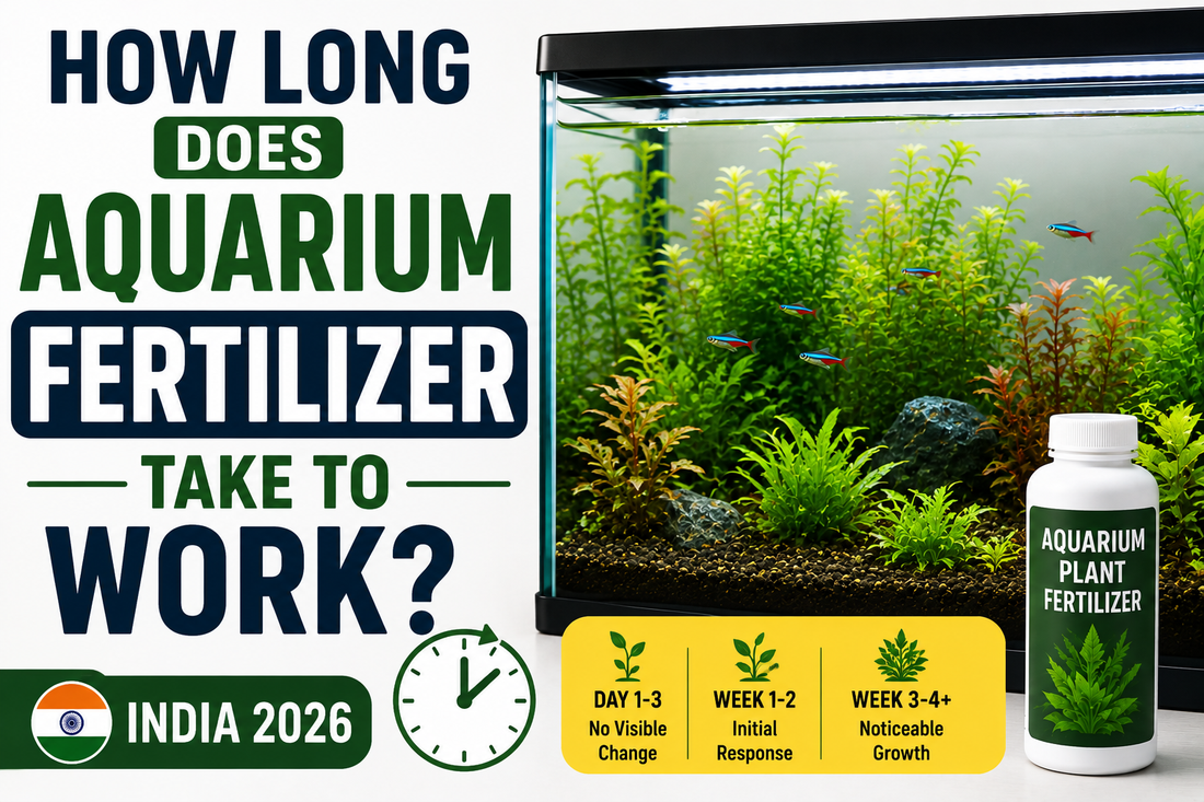 How Long Does Aquarium Fertilizer Take to Work? (India 2026)