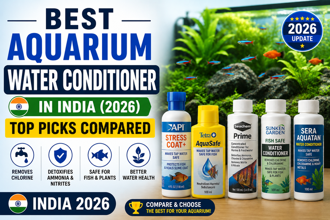Best Aquarium Water Conditioner in India (2026): Top Picks Compared