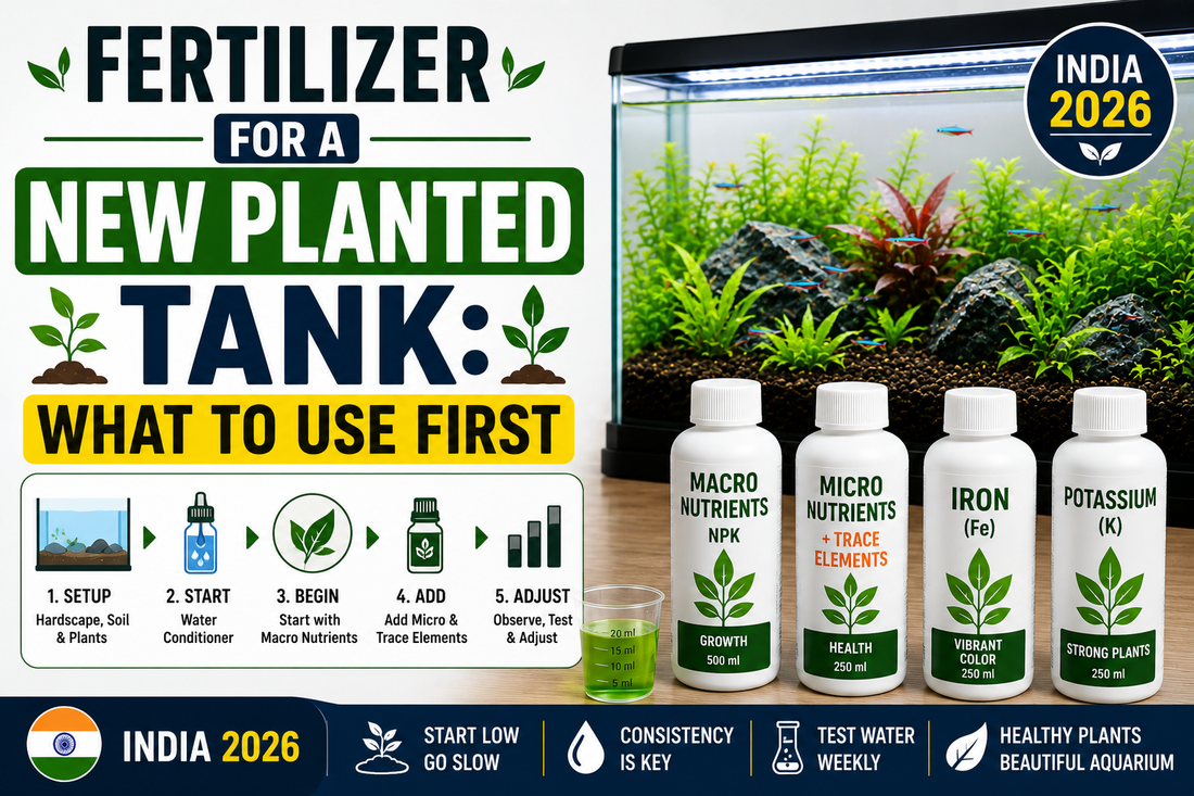 Fertilizer for a New Planted Tank: What to Use First (India 2026)