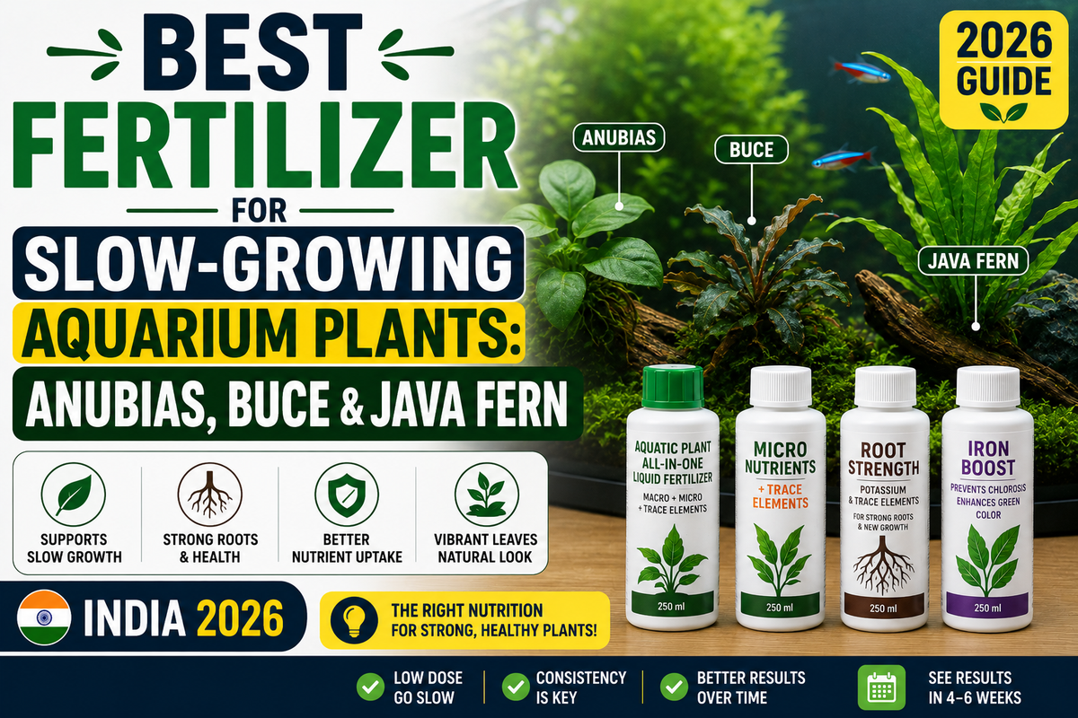 Best Fertilizer for Slow-Growing Aquarium Plants: Anubias, Buce & Java Fern (2026)