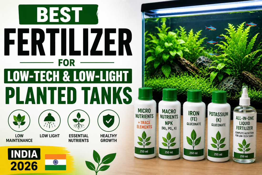 Best Fertilizer for Low-Tech & Low-Light Planted Tanks (India 2026)