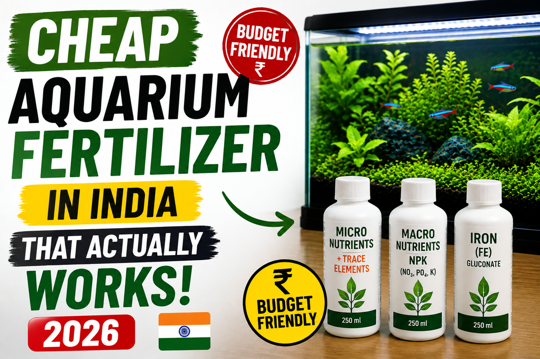 Cheap Aquarium Fertilizer in India That Actually Works (2026)