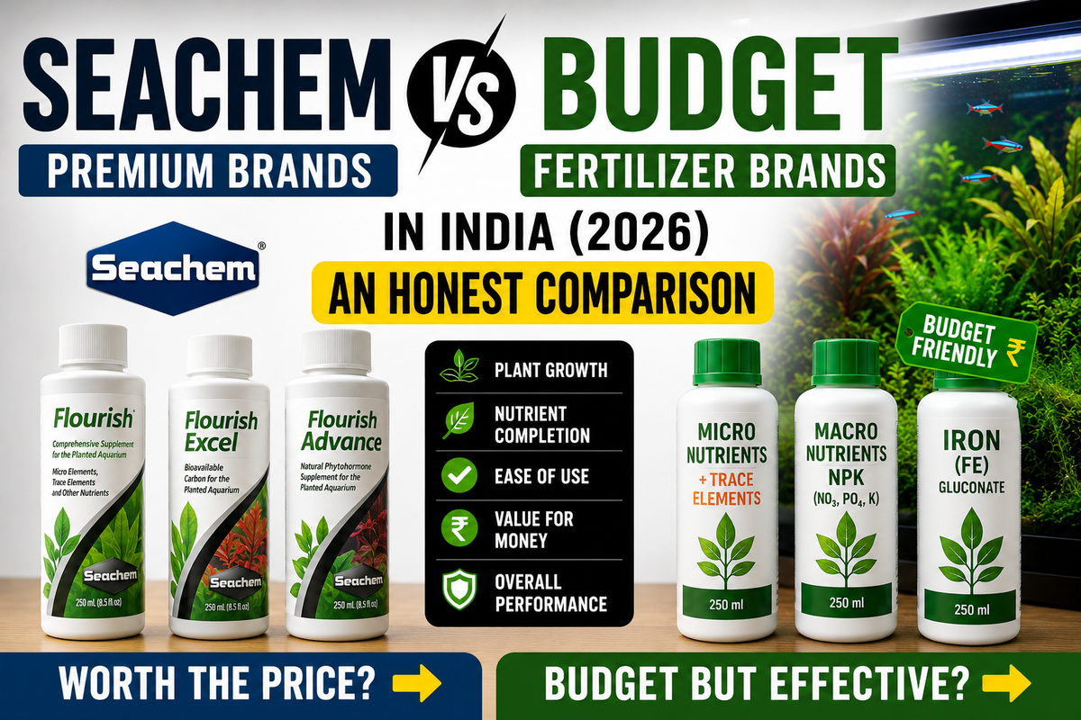 Seachem vs Budget Fertilizer Brands in India (2026): An Honest Comparison