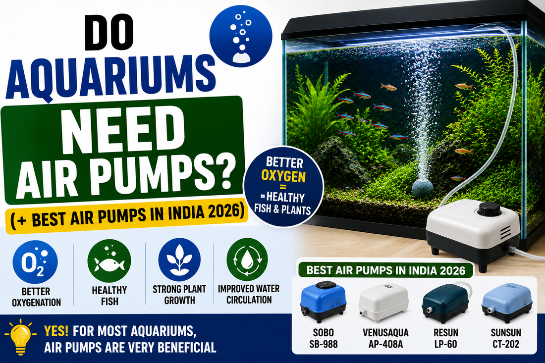Do Aquariums Need Air Pumps? (+ Best Air Pumps in India 2026)
