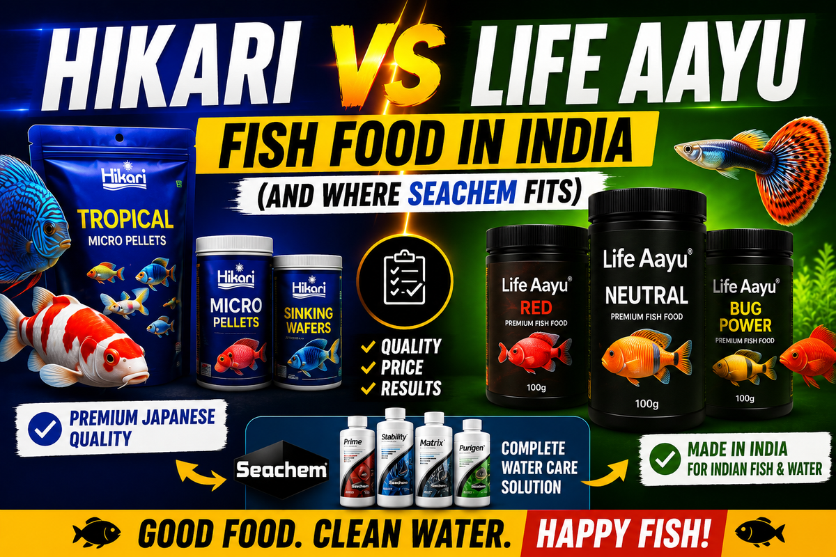Hikari vs Life Aayu Fish Food in India (and Where Seachem Fits) Fish Bazaar