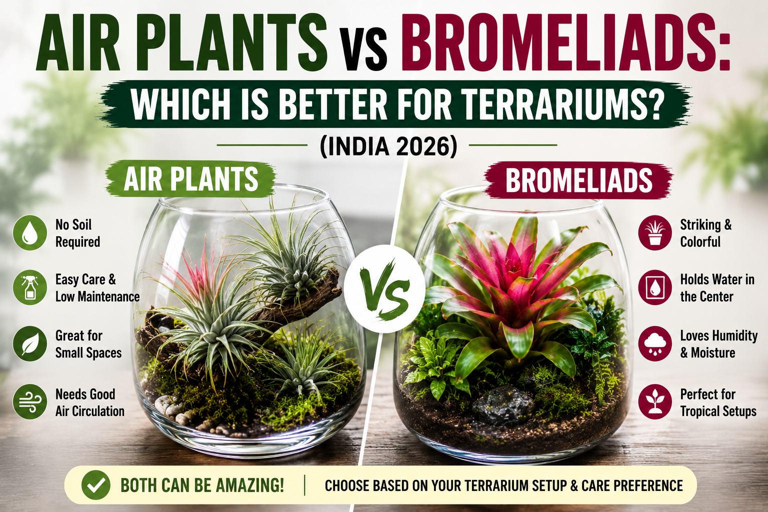 Air Plants vs Bromeliads: Which Is Better for Terrariums? (India 2026)