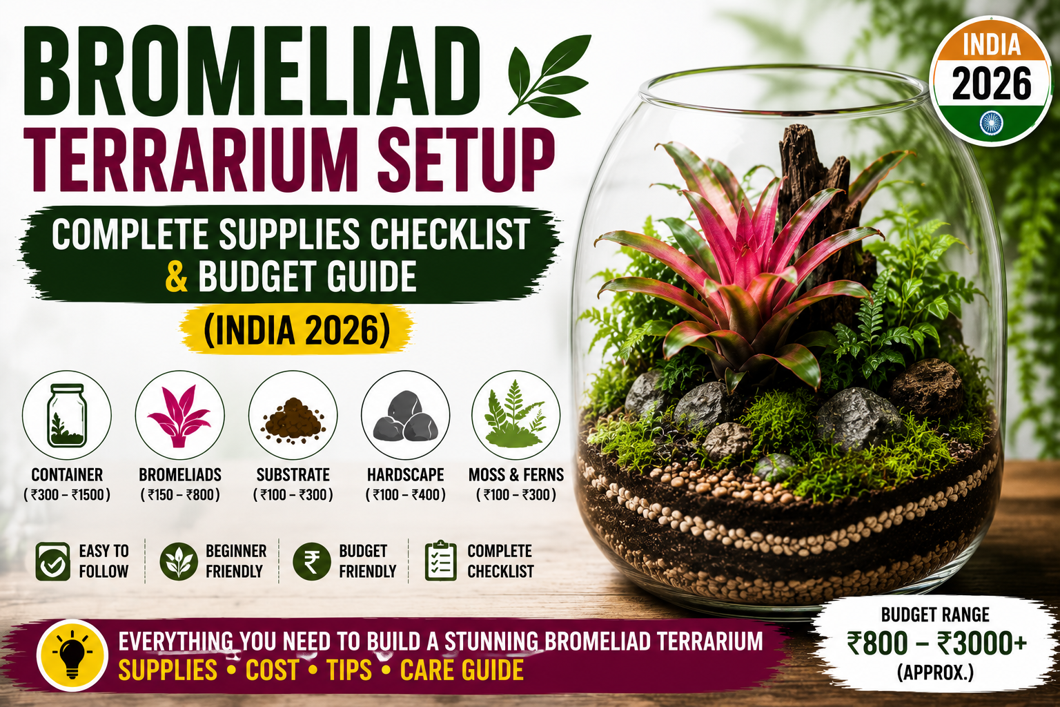 Bromeliad Terrarium Setup: Complete Supplies Checklist & Budget Guide (India 2026)