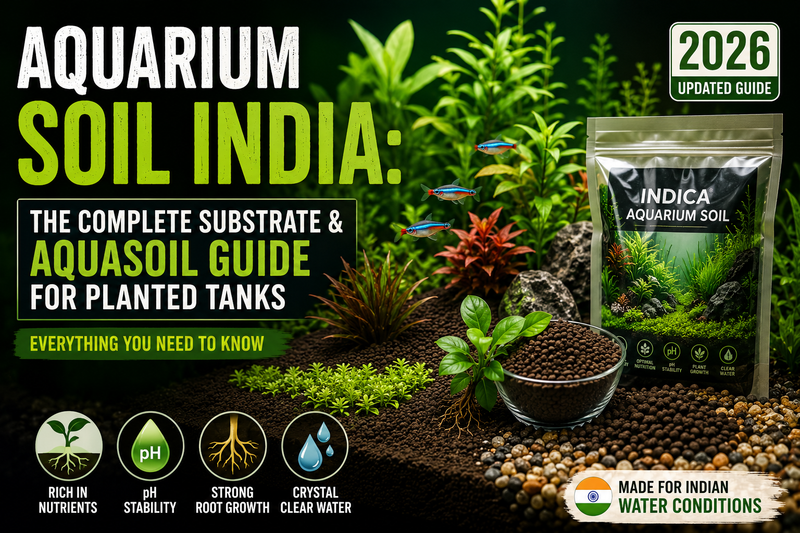 Aquarium Soil India: The Complete Substrate & Aquasoil Guide for Planted Tanks (2026)