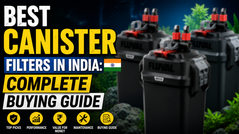 Best Canister Filters in India: Complete Buying Guide