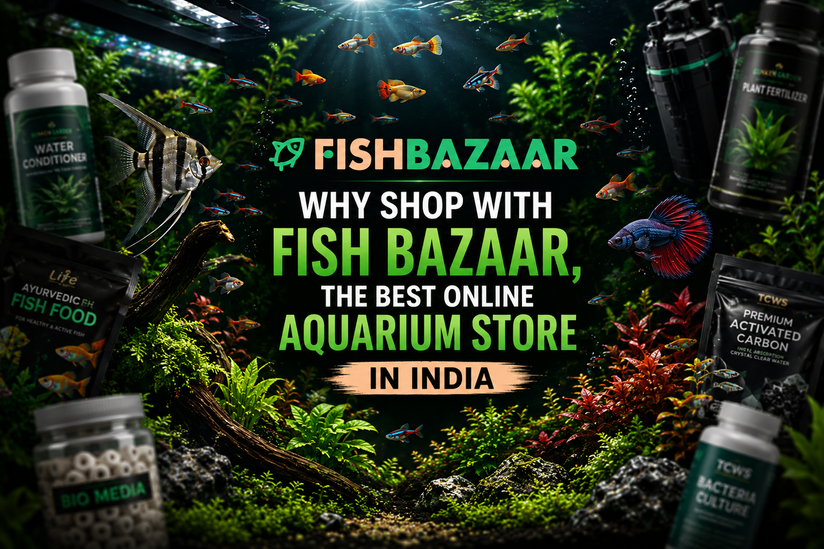 Why Shop With Fish Bazaar, the Best Online Aquarium Store in India