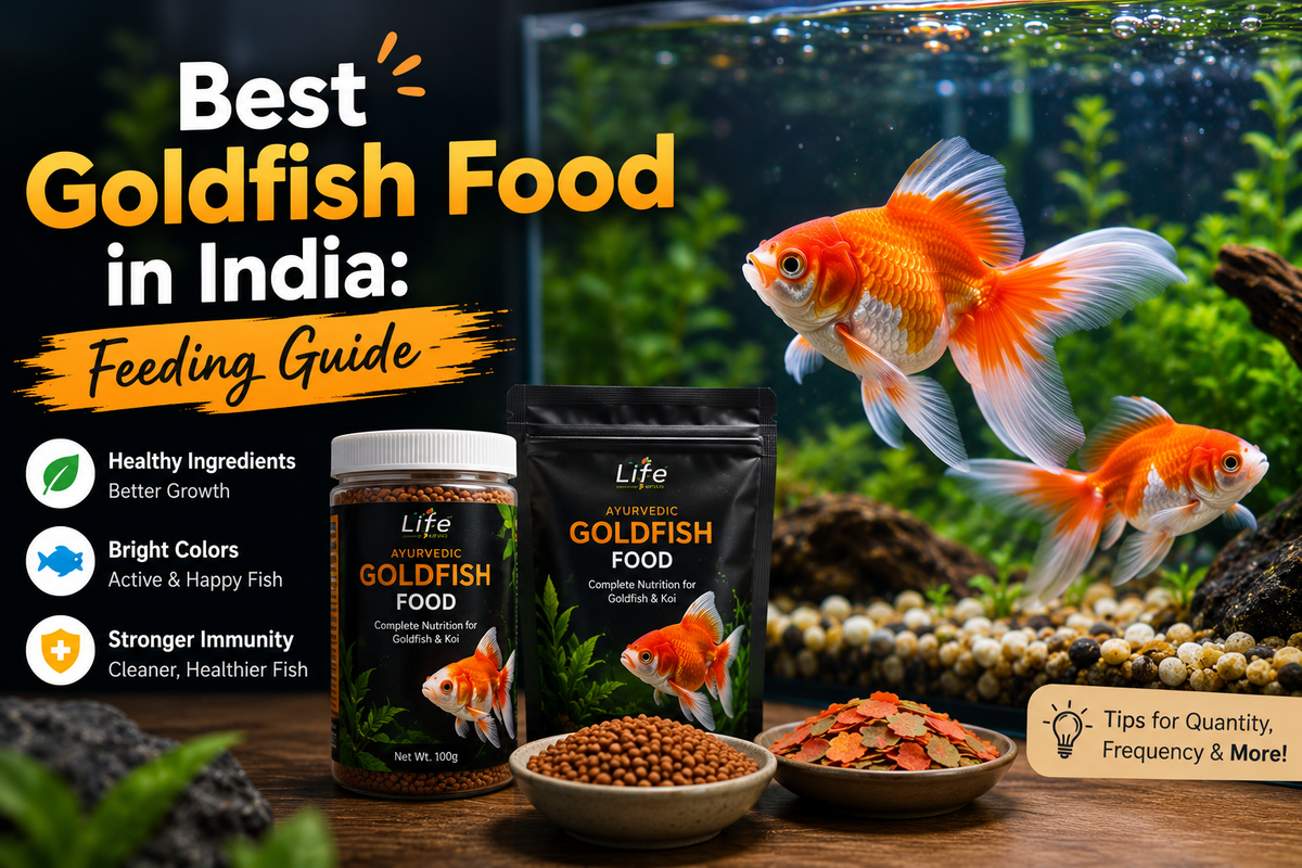 Best Goldfish Food in India: Feeding Guide