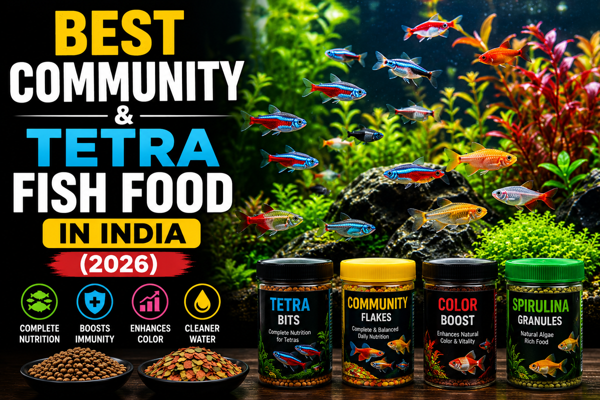 Best Community & Tetra Fish Food in India (2026)