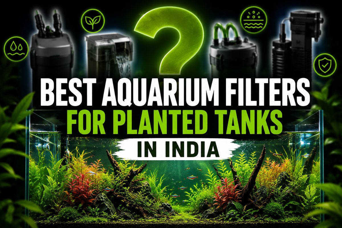 Best Aquarium Filters for Planted Tanks in India