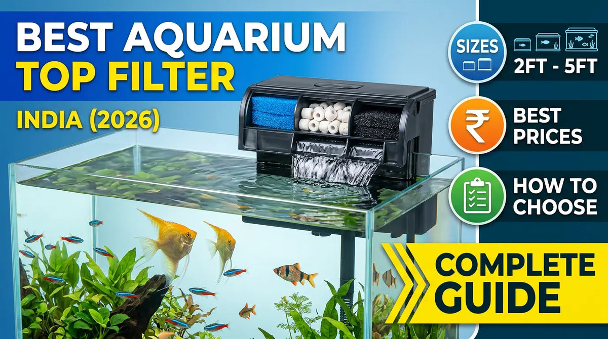Best Aquarium Top Filter in India (2026): Sizes, Prices & How to Choose