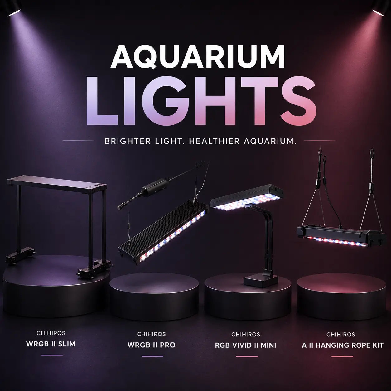 Aquarium-Light Fish Bazaar