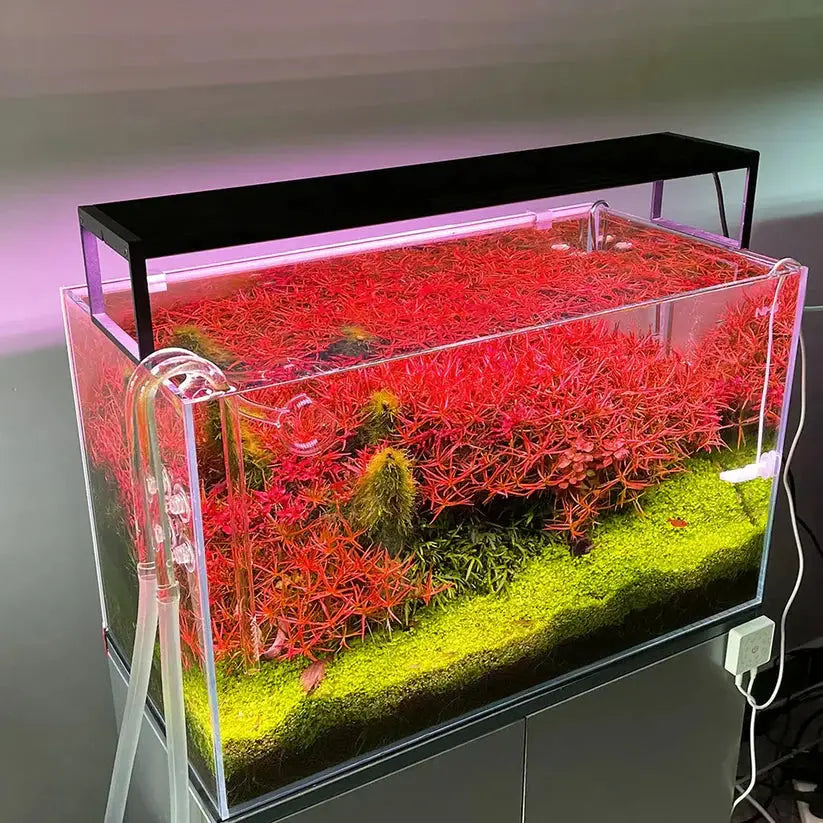 CHIHIROS WRGB II SLIM Aquarium Products India