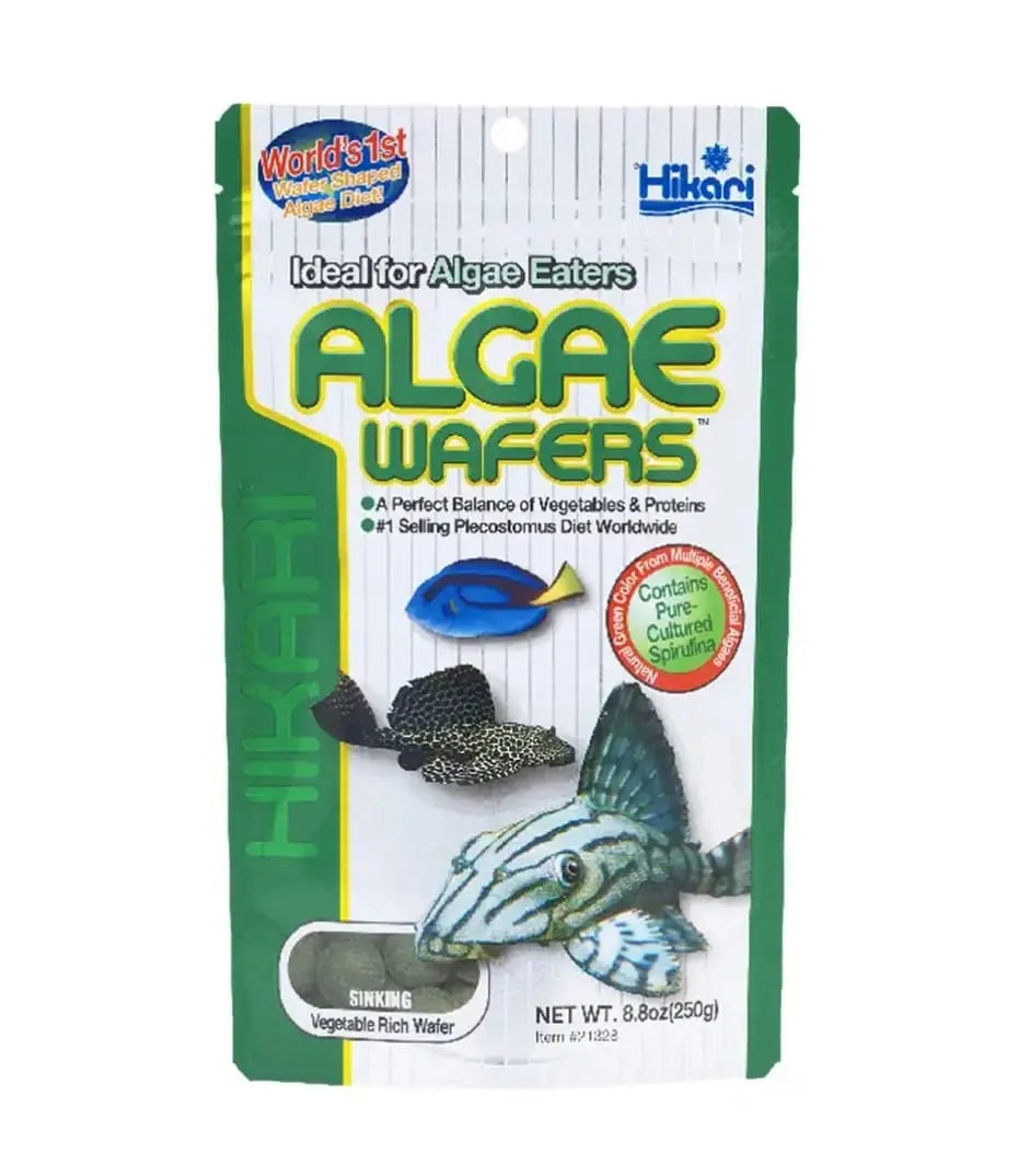 Hikari Tropical Algae Wafers Fish Food Fish Bazaar