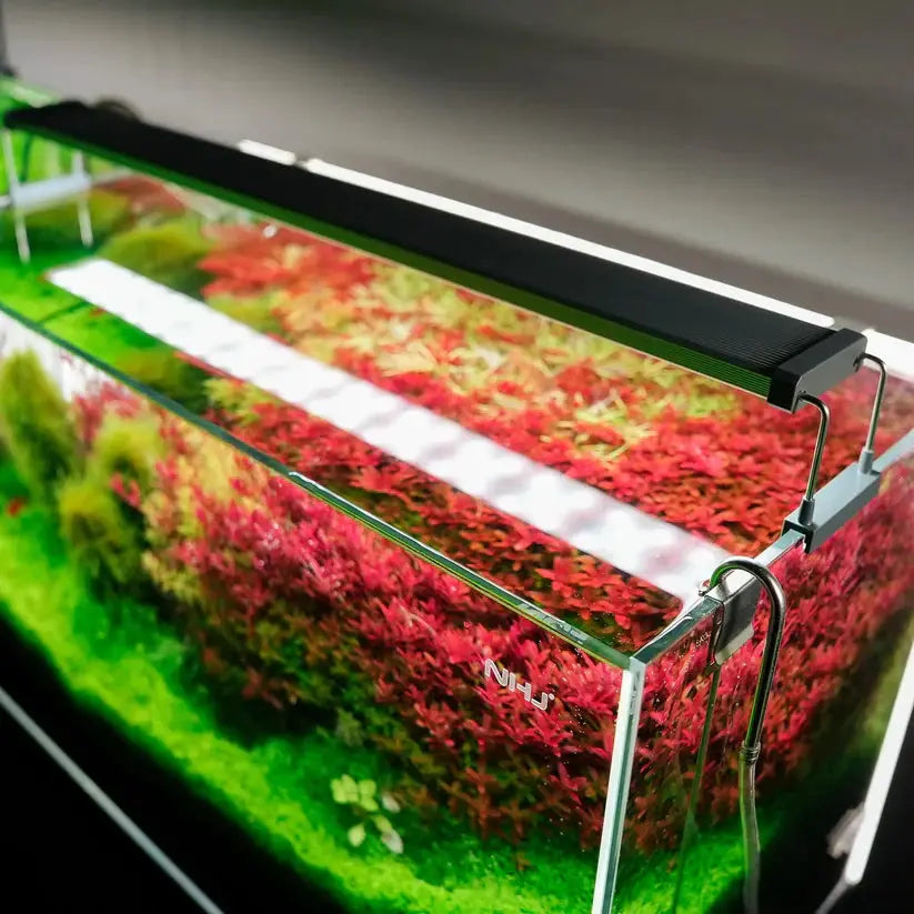 B SERIES WHITE PLUS RGB LIGHTS Aquarium Products India