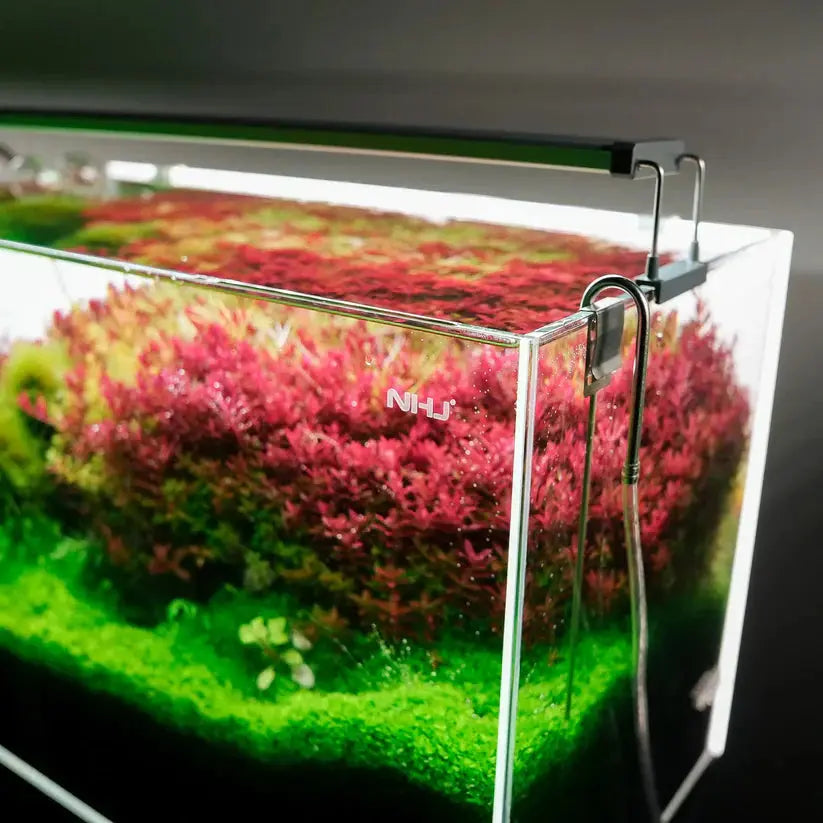 B SERIES WHITE PLUS RGB LIGHTS Aquarium Products India