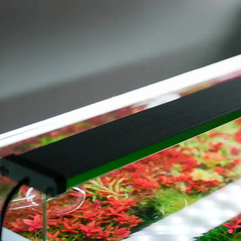B SERIES WHITE PLUS RGB LIGHTS Aquarium Products India