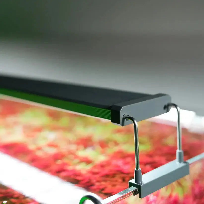B SERIES WHITE PLUS RGB LIGHTS Aquarium Products India