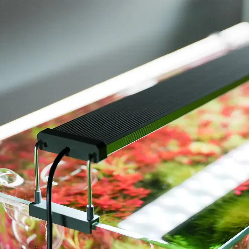 B SERIES WHITE PLUS RGB LIGHTS Aquarium Products India