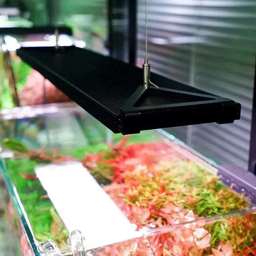 HANGING ROPE KIT FOR WRGB 2 PRO Aquarium Products India