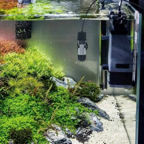 Mini Aquarium Heater for Small Tanks | 10W Submersible Fish Tank Heater | Dry Run / Overheating Protection, LED Digital Display & External Temperature Controller