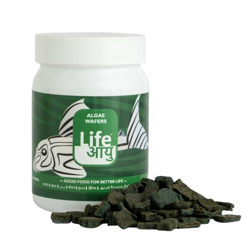 Life AAYU Algae Wafer Fish Food 45g - Zucchini & Dandelion Wafers for Plecos | Buy Online India