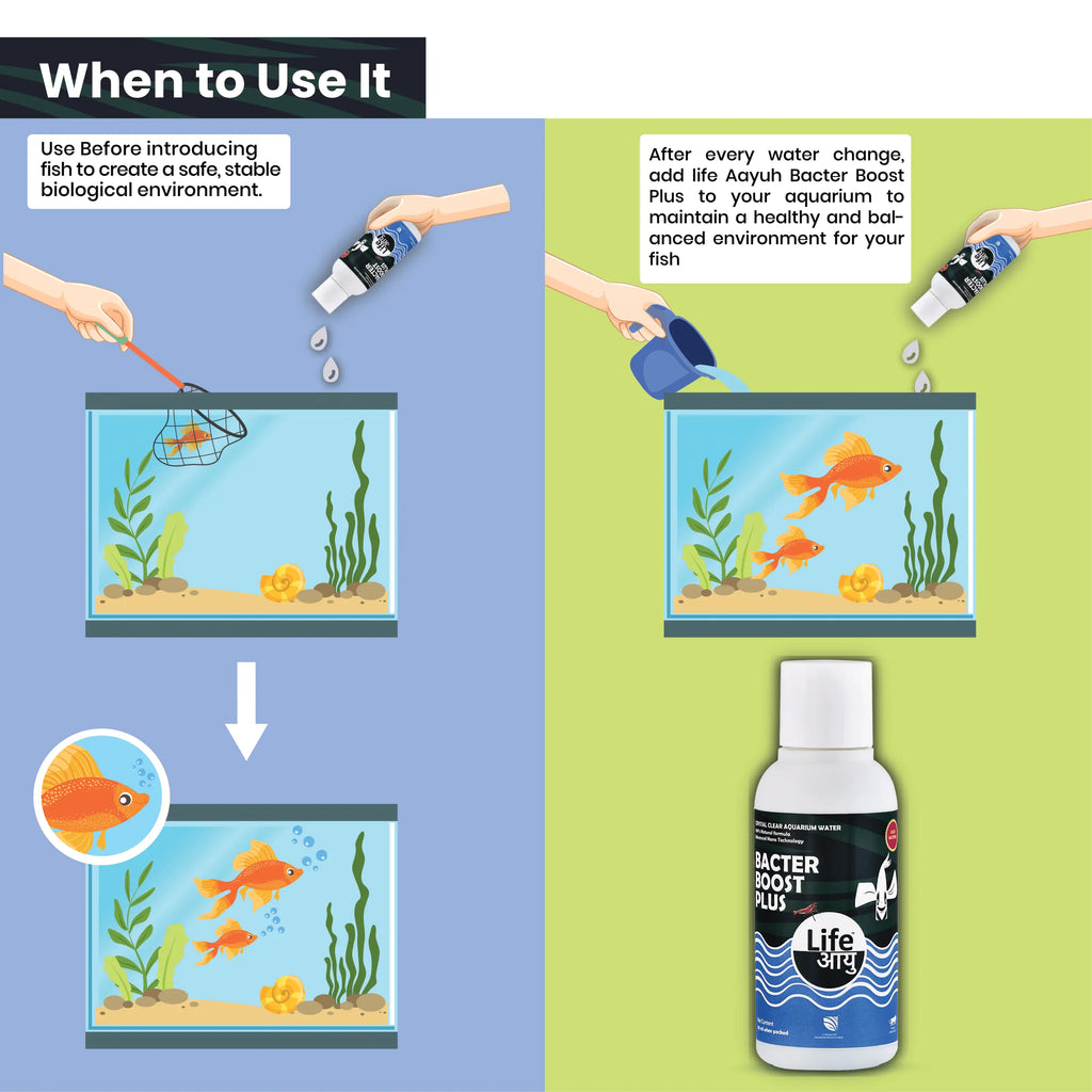 Life Aayu Bacter Boost Plus – Natural Aquarium Bacteria Starter for Clear Water, Ammonia Control Eco Balance | 100% Shrimp Safe Aquarium Products India
