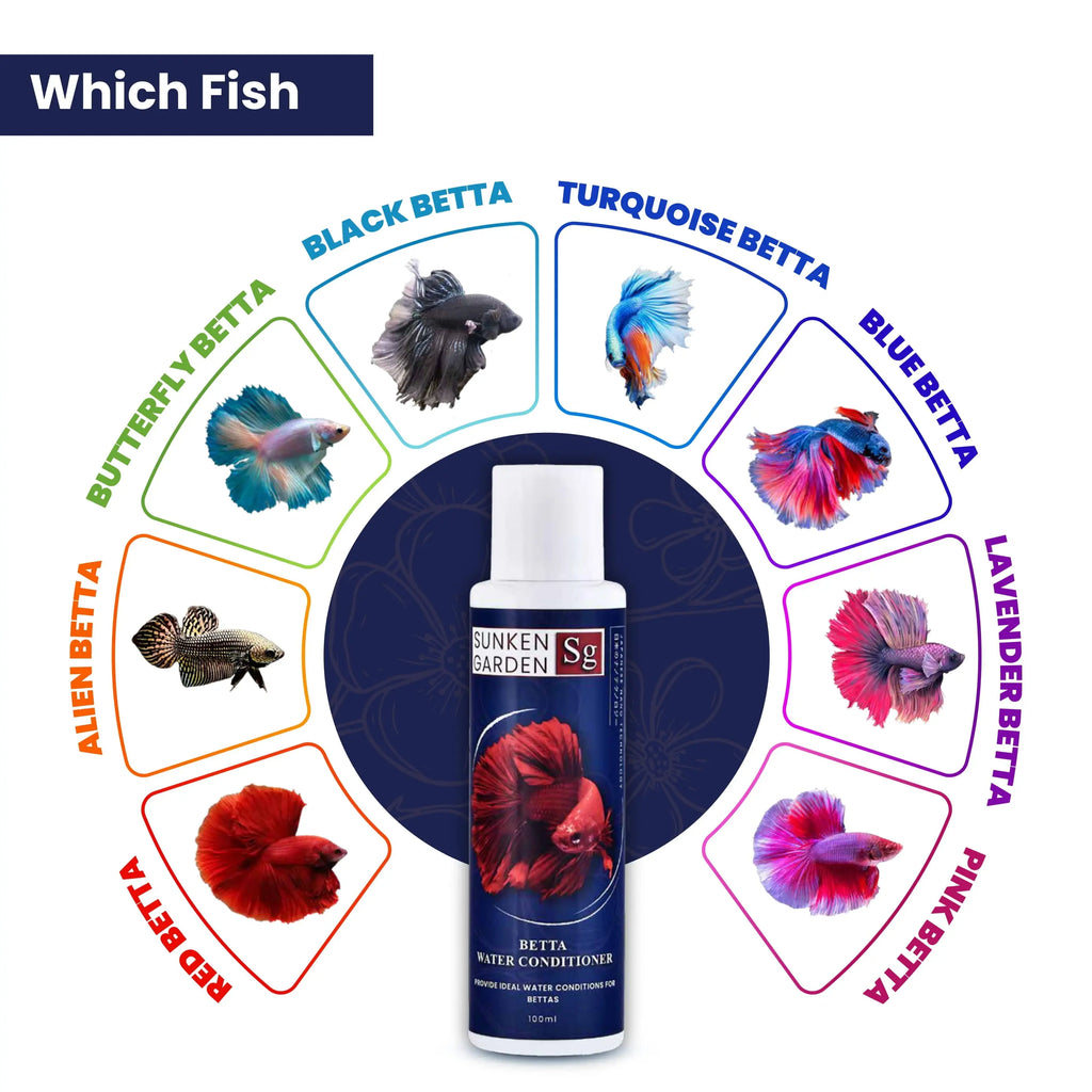 Sunken Garden Betta Fish Water Conditioner | Chlorine Neutralizer + Fin Rot Protection + pH Balancer | Made for Indian Aquariums Sunken Garden Pvt Ltd