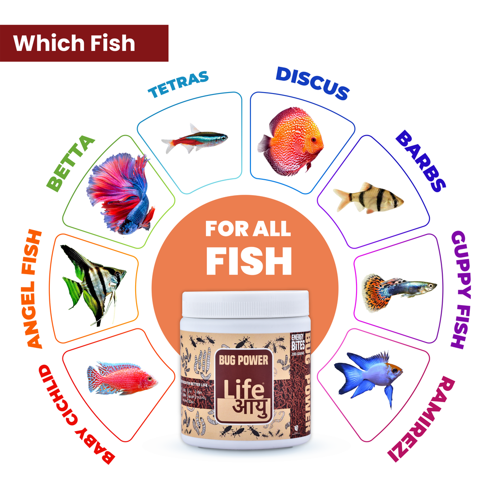 LIFE AAYU BUG POWER FISH FOOD 500 gm